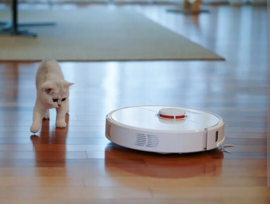 Robot süpürgene 🤖 evcil hayvanın da eşlik ediyor mu?