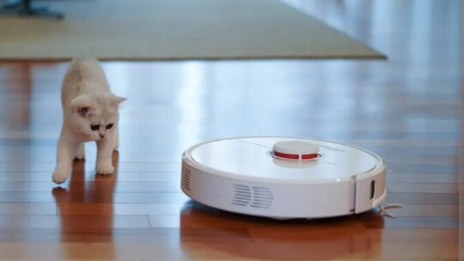 Robot süpürgene 🤖 evcil hayvanın da eşlik ediyor mu?