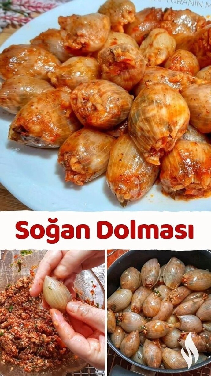 Soğan dolması seviyor musunuz?