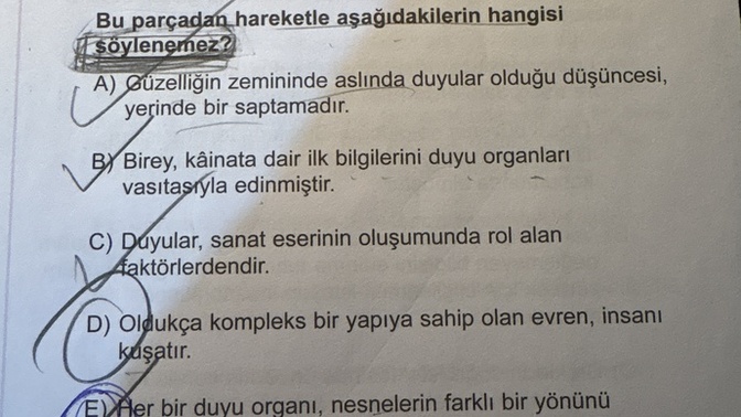 Arkadaşlar cevap D olmaz mı ya?