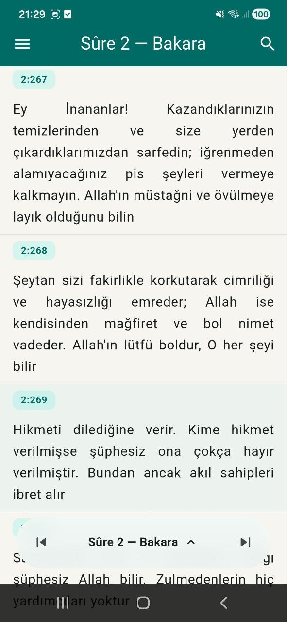 Kuran-ı Kerim meali okumak için yazdığım uygulamayı inceleyip değerlendirebilir misiniz? ?