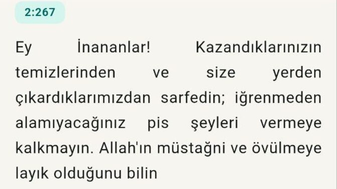 Kuran-ı Kerim meali okumak için yazdığım uygulamayı inceleyip değerlendirebilir misiniz? ?