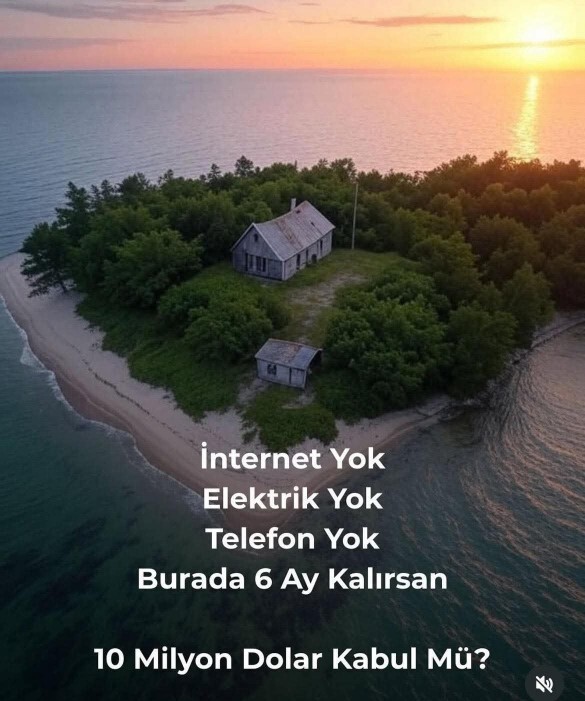 Cevabınız ne olurdu?