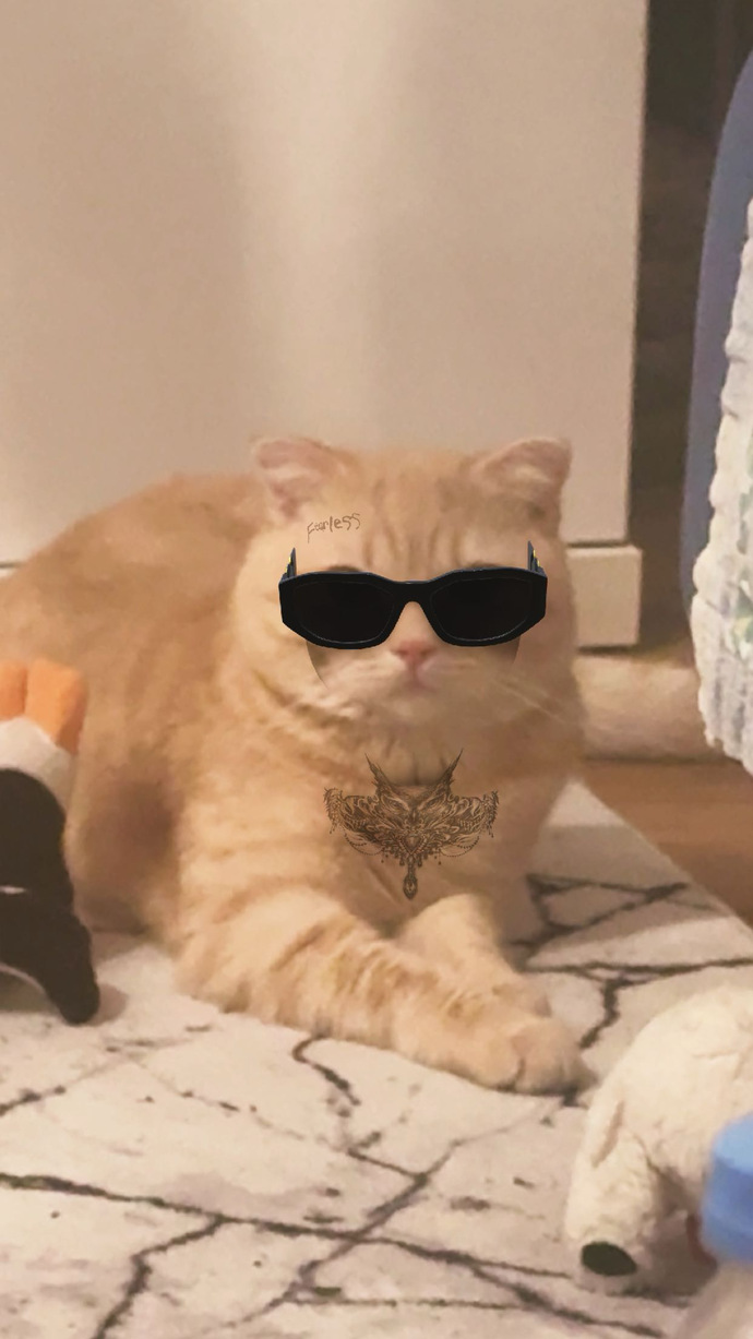 Aramızda kedi besleyenler var mı?