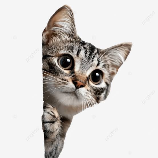 Selam 👋🏻 Kimler uyanık? Ve neden uyumadınız bu kadar?