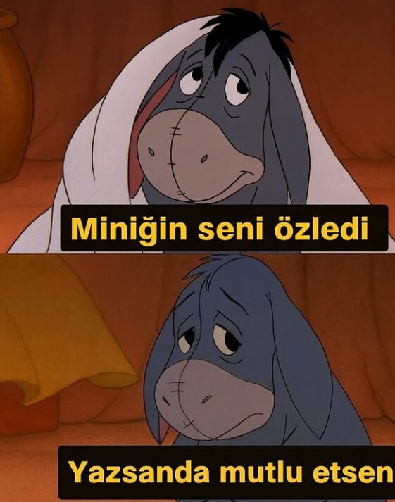 Size böyle bir mesaj gelse ne yapardınız?