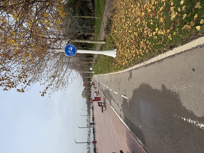 Hello, bisiklet sürmeyi sever misiniz?