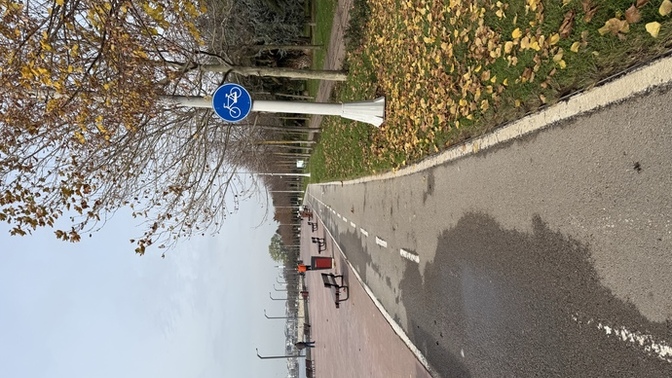 Hello, bisiklet sürmeyi sever misiniz?