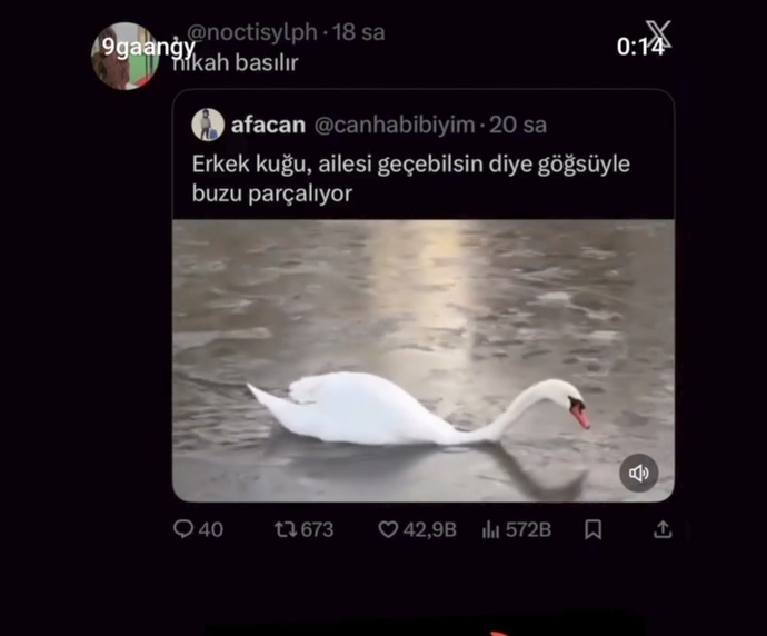 Böyle has erkekler kaldı mı 😅?