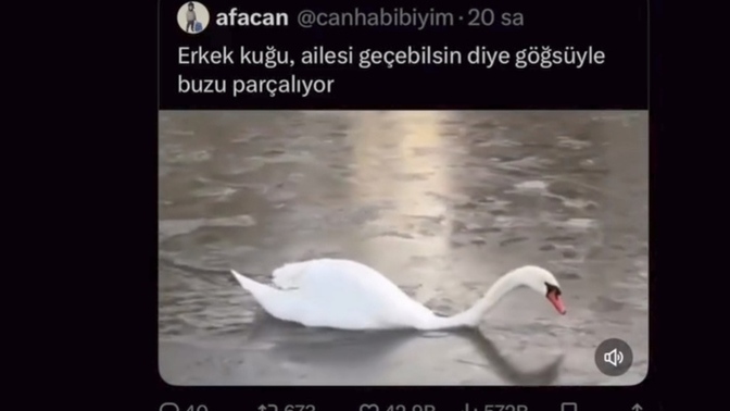 Böyle has erkekler kaldı mı 😅?