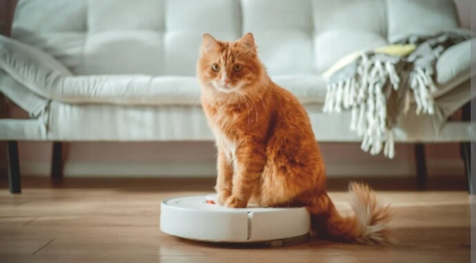 Tüy dökme sezonunda tek kurtarıcın robot süpürge mi?