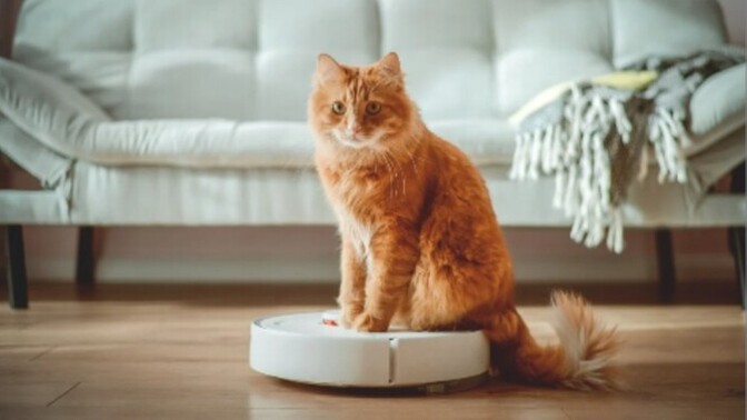 Tüy dökme sezonunda tek kurtarıcın robot süpürge mi?