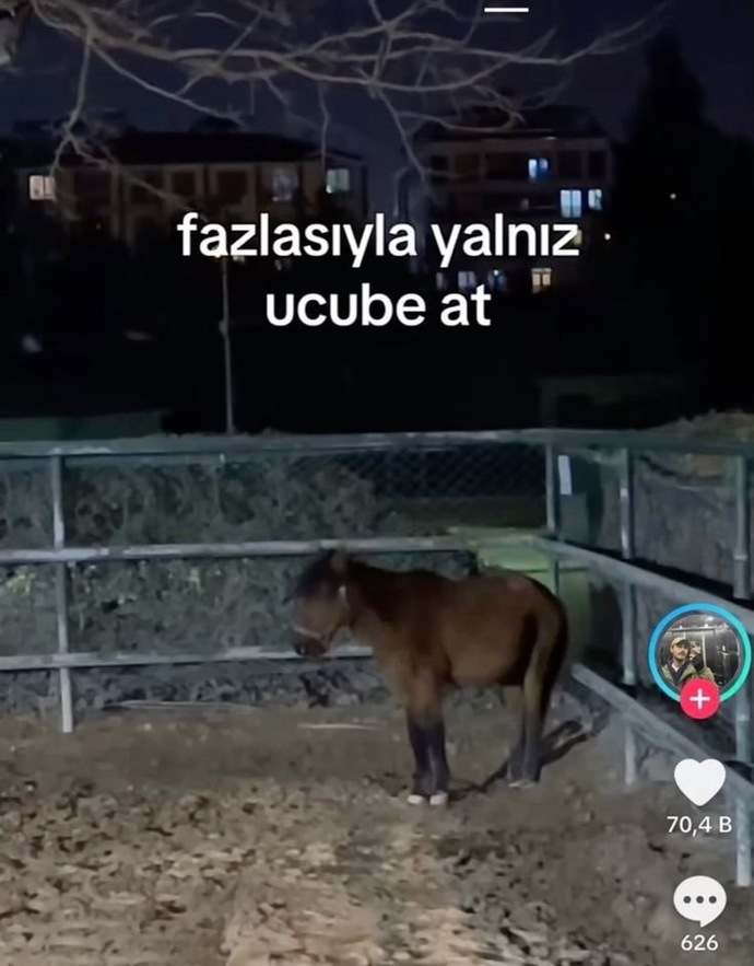 Şuyum