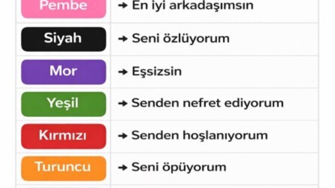 Bana hangi rengi vereceksin?