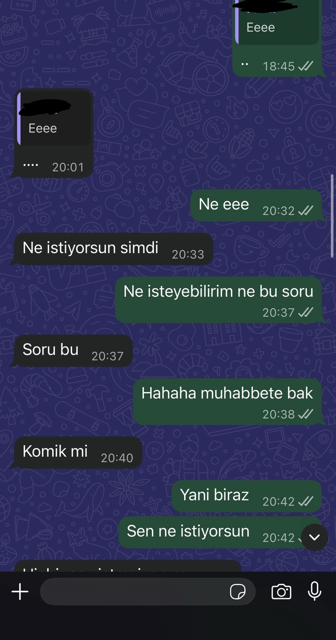 Sizce eski sevgilim istemiyor muydu?