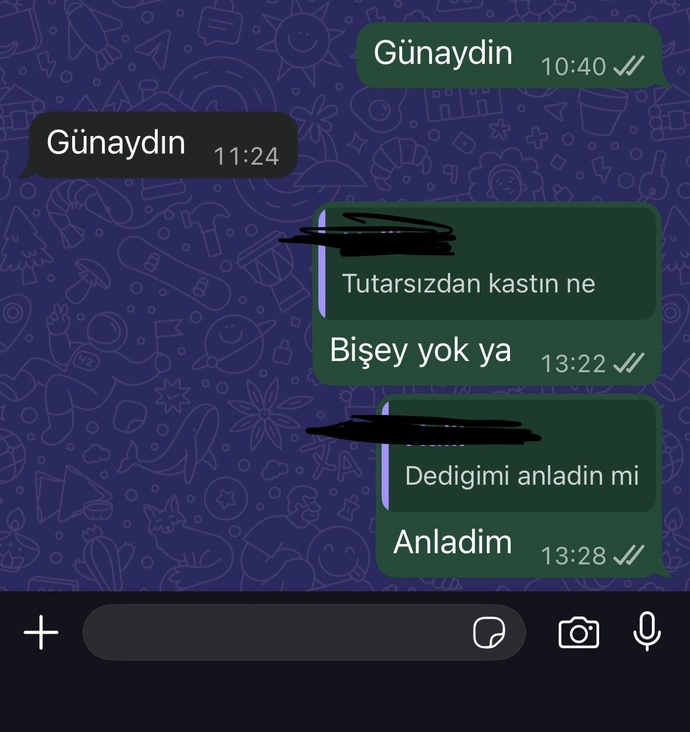 Sizce eski sevgilim istemiyor muydu?