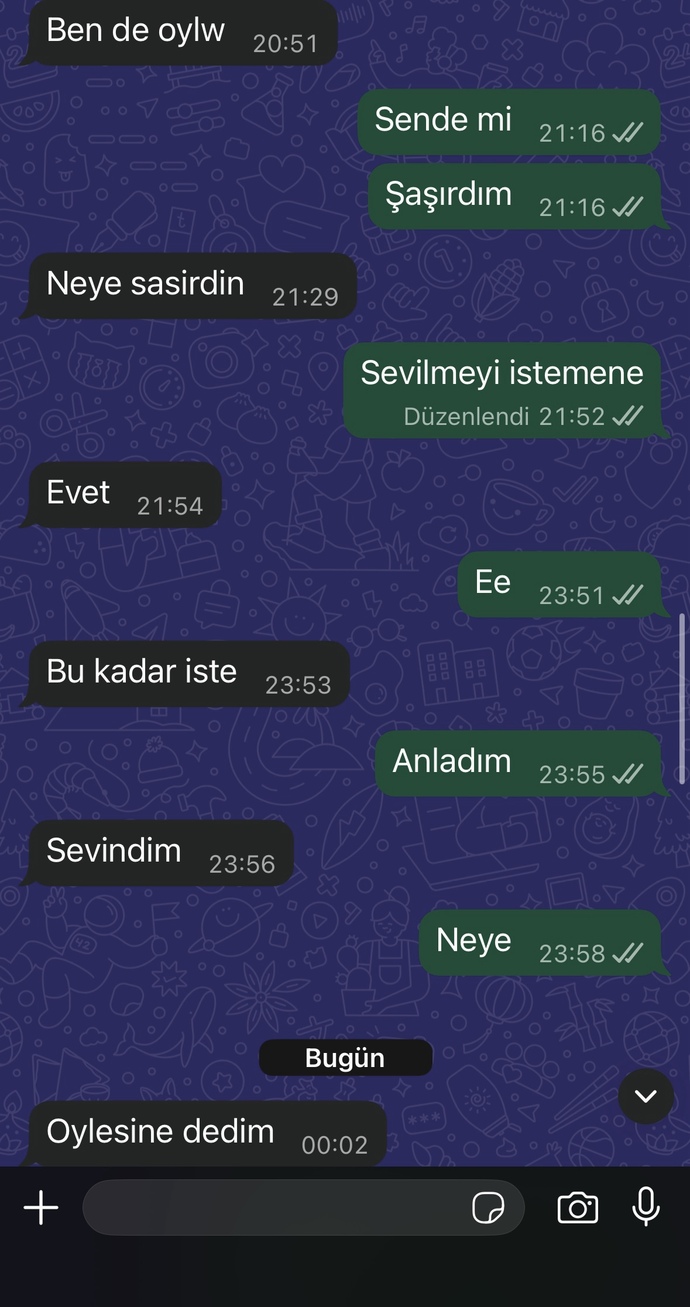 Sizce eski sevgilim istemiyor muydu?