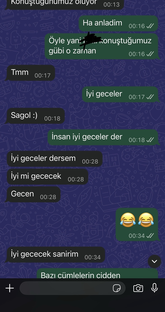 Sizce eski sevgilim istemiyor muydu?