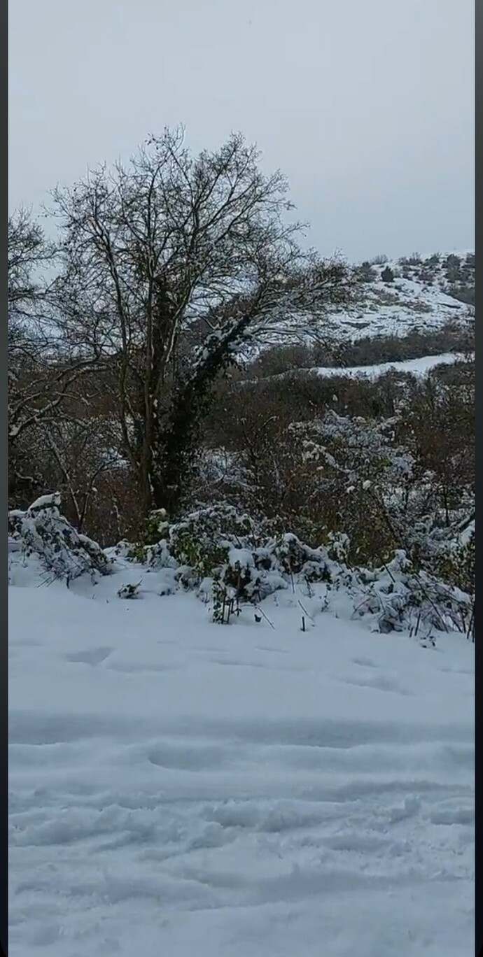 Anlık modunuz nasıl? Ne yapıyorsunuz?