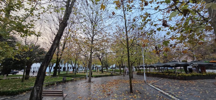 Yağmur sonrası, kıştan öncesi.
