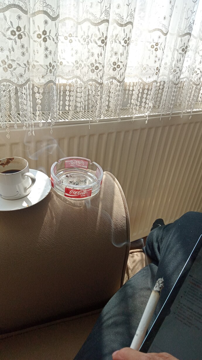 Çok şey mi istedim hayattan?