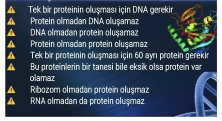 Neden evrim değil yaratılış?