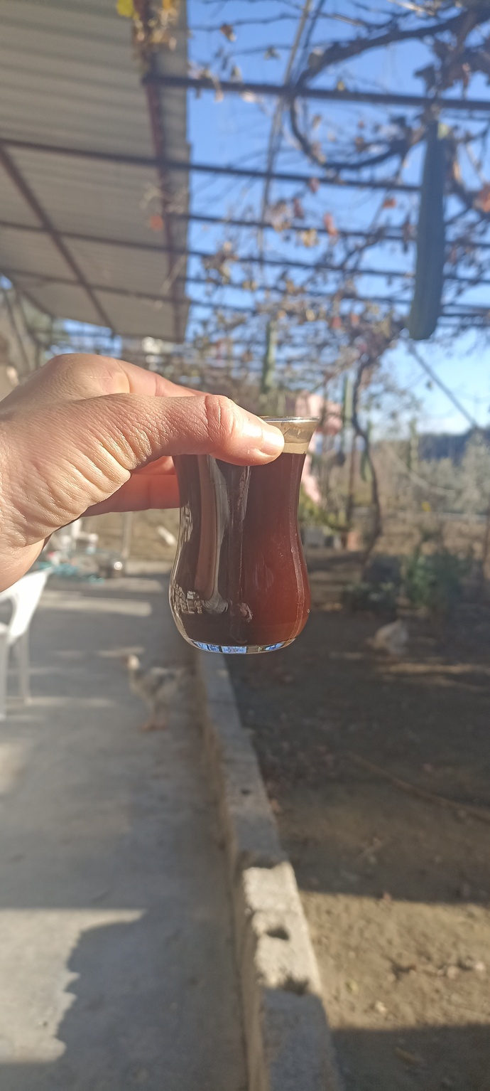 Türk kahvesi içer miyiz?