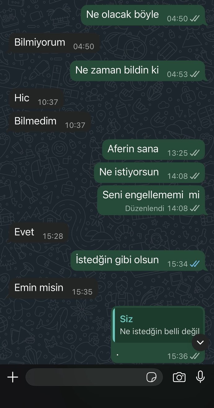 Sizce engellemeli miyim onu?