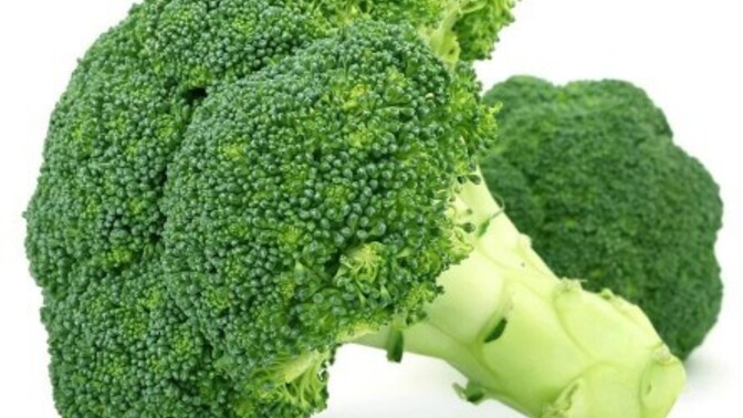 Vegan olan veya olmayı düşünen var mı?