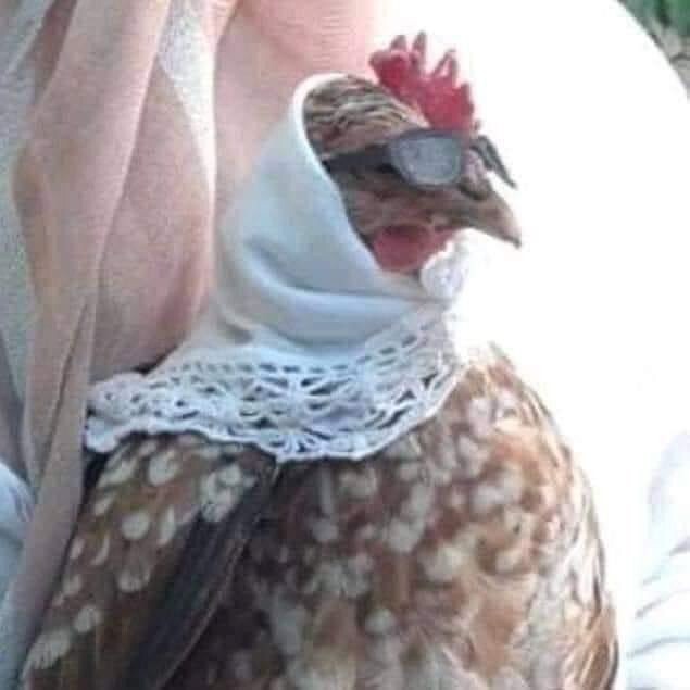 Senden dedektif olur muydu?