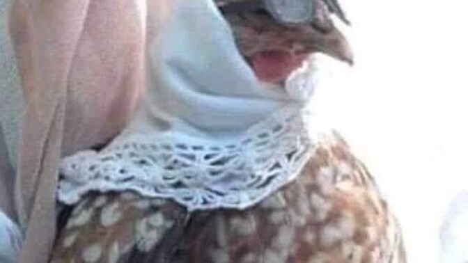 Senden dedektif olur muydu?