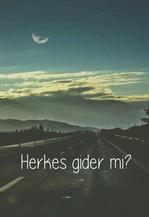 Herkes gider mi ansızın?