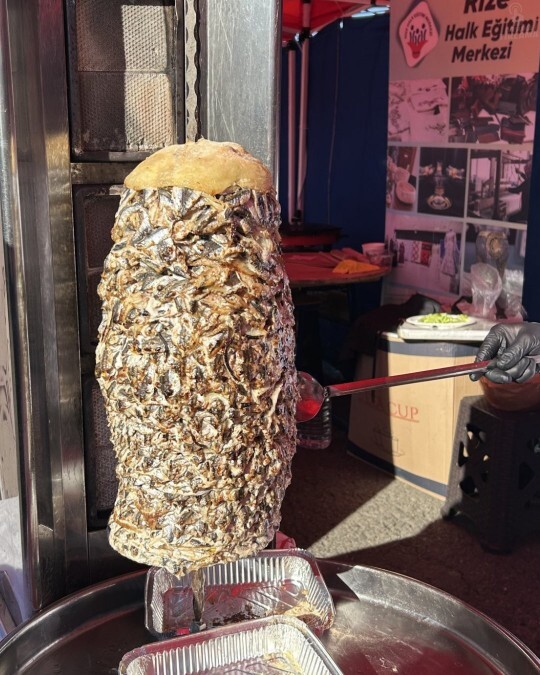 Hamsi döner için ne düşünüyorsun?