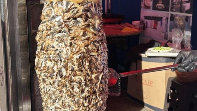 Hamsi döner için ne düşünüyorsun?