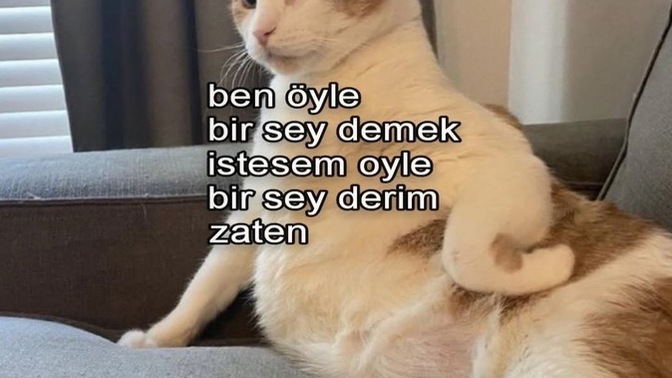 Demek istediklerinizi ısrarla yanlış anlayanlar oluyor mu?