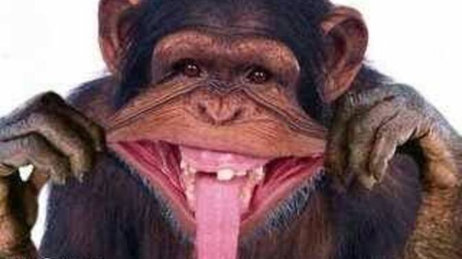 Burdan tüm ateizZzlere sesleniyorum; madem Allah yok benim belamı kim veriyor? Hadi bunu da açıklayalım bakalım 🤪🤪?