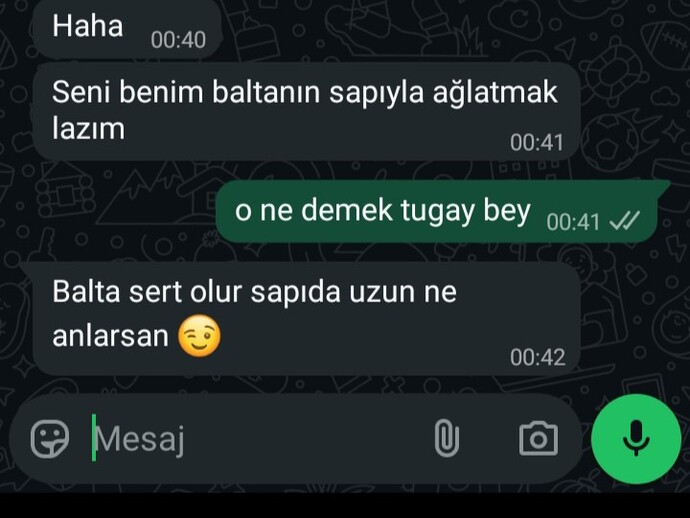 İşe gireli 3 gün oldu işverenin yazdığına bakar mısınız neden bu kadar rezil insanlar?