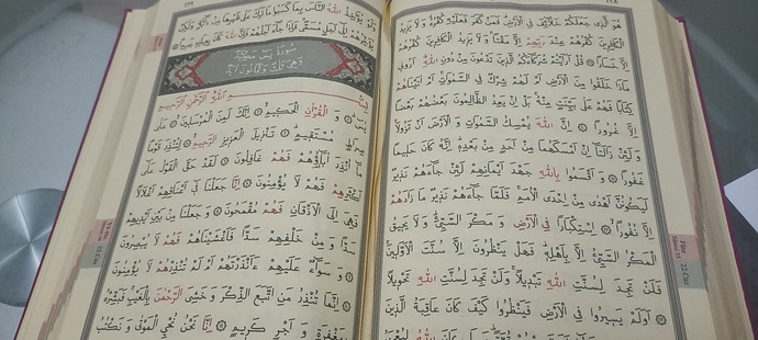 Kuranı Kerim okurmusunuz? okumayı bilirmisin?