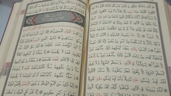 Kur'an'ı Kerim okurmusunuz? okumayı bilirmisin?