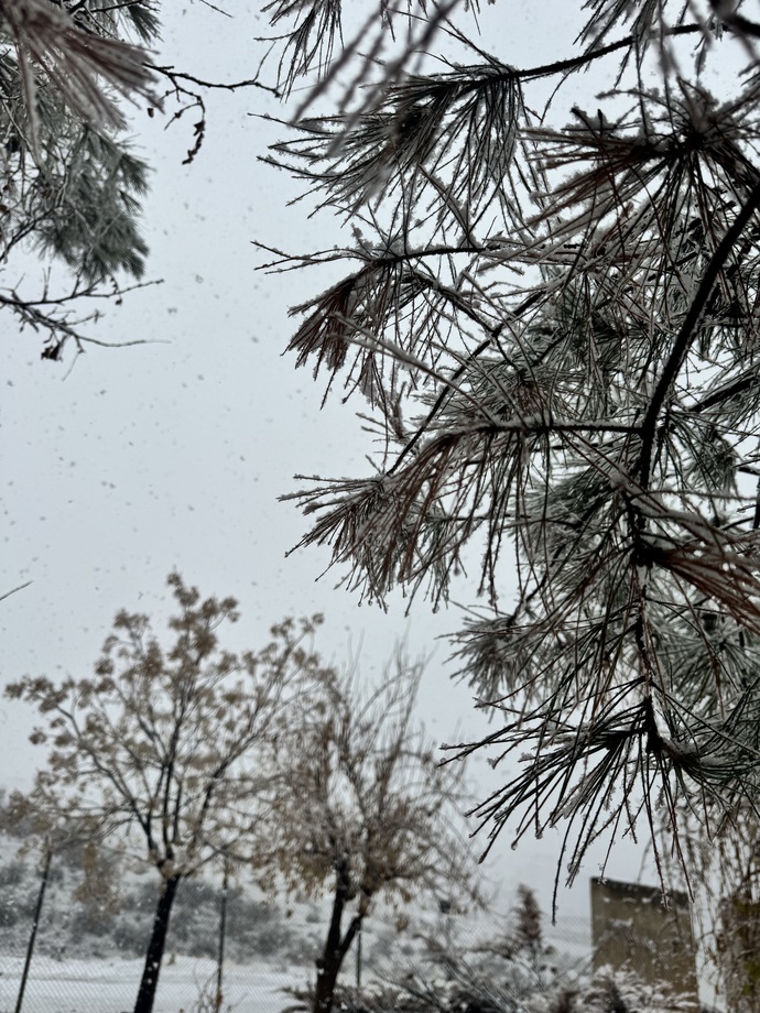 Bayılıyorum bu havaya sizin orada kar yağıyor mu?