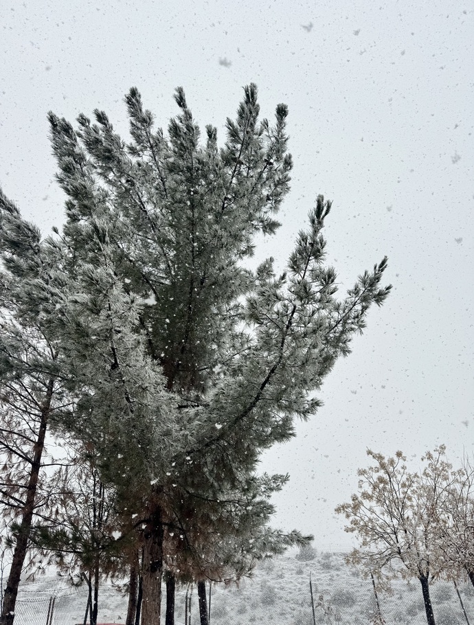 ❄️