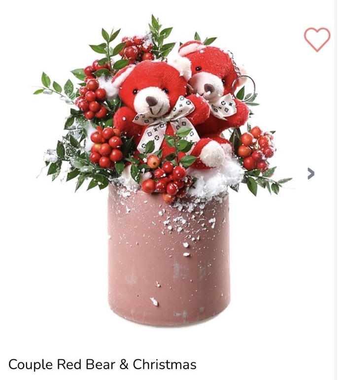 Yılbaşı için bu iki çiçekten hangisi daha güzel?