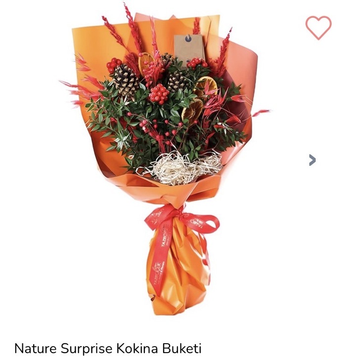 Yılbaşı için bu iki çiçekten hangisi daha güzel?