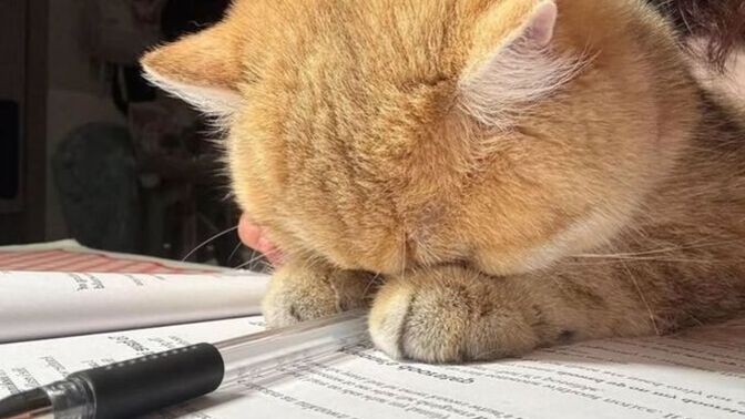 Okul yıllarında en çok zorlandığınız ders hangisiydi ve neden zorlanıyordunuz?