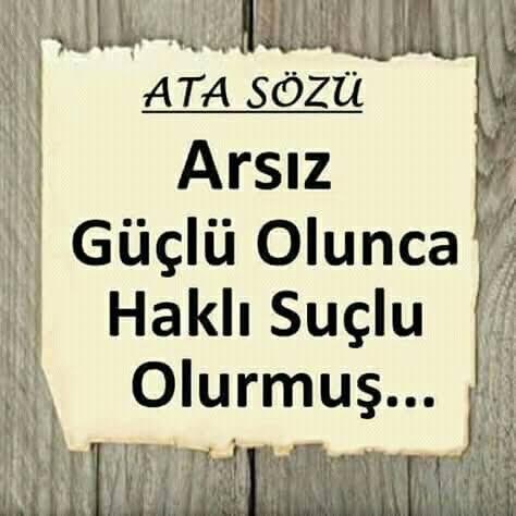 Sizce arsız olmak mı daha iyi, yoksa alıngan ve çekingen olmak mı?