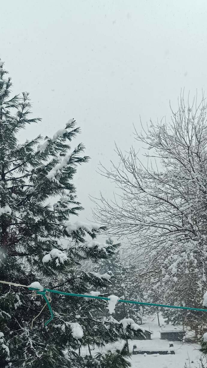 Sizin orada da kar yağıyor muuuuu❄️?