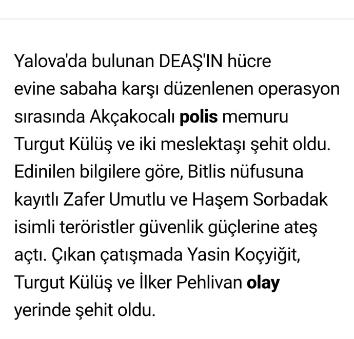 Yalova saldırganları gerçekten türk mü, yoksa vatandaşlık verilen mülteciler mi?