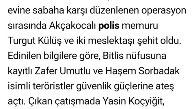Yalova saldırganları gerçekten türk mü, yoksa vatandaşlık verilen mülteciler mi?
