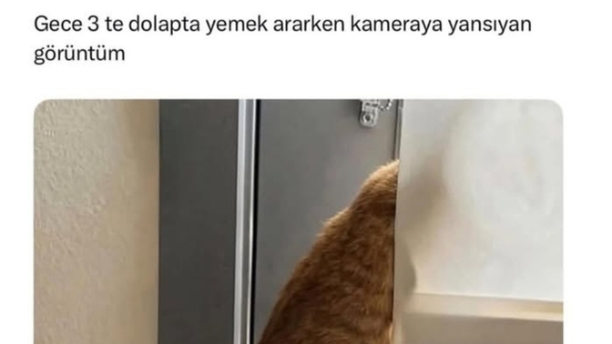 Geceleri buzdolabını açıp atıştırmalık olarak en çok ne yemeyi tercih edersiniz?