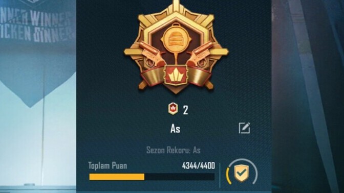 Pubg mobile de hesabınız en fazla hangi kademe seviyesine ulaştı?